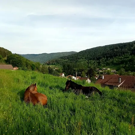 Au Pied Du Mont Lejlighed