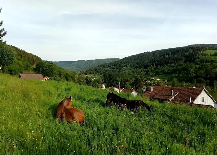 Au Pied Du Mont Appartement